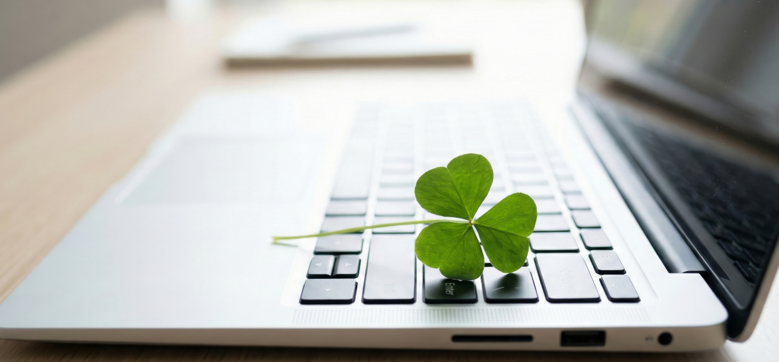 Shamrock on a laptop